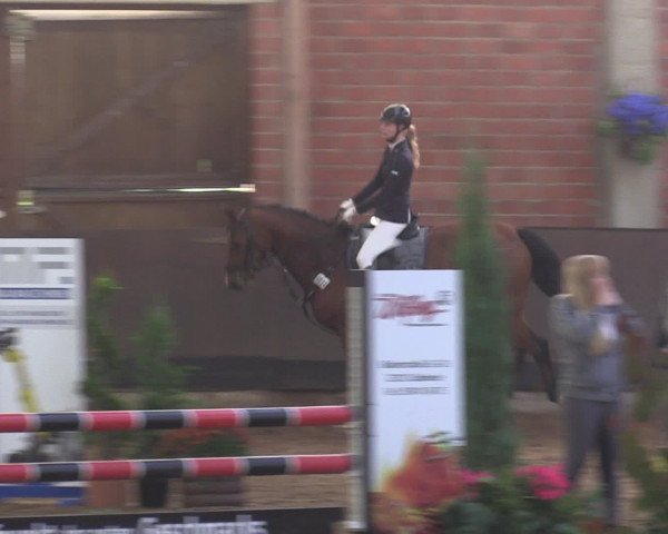 Reitturnier Hüllhorst 2015