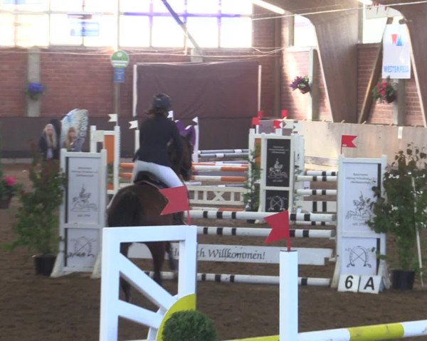 Reitturnier Hüllhorst 2015
