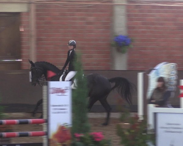 Reitturnier Hüllhorst 2015