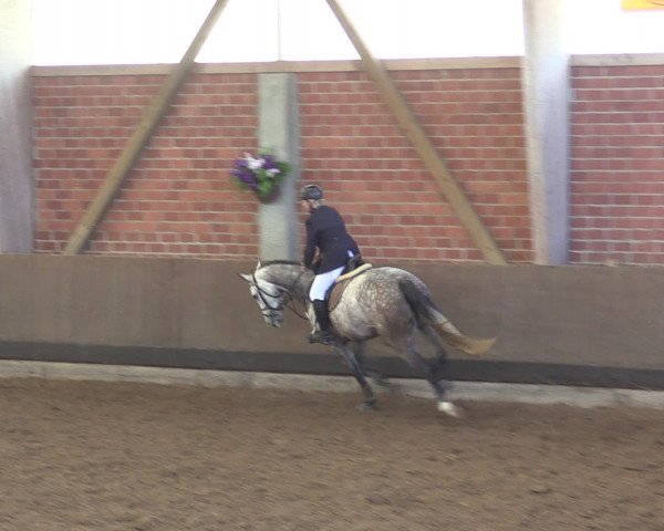 Reitturnier Hüllhorst 2015