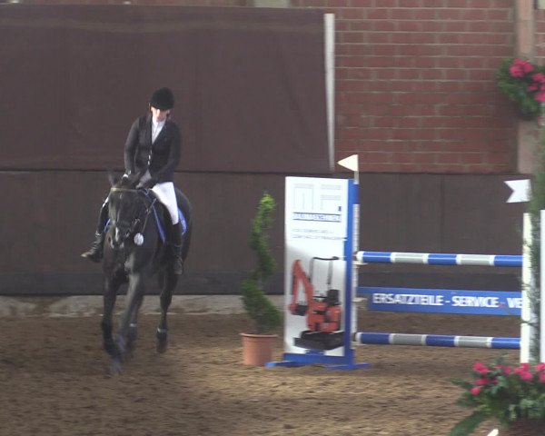 Reitturnier Hüllhorst 2015