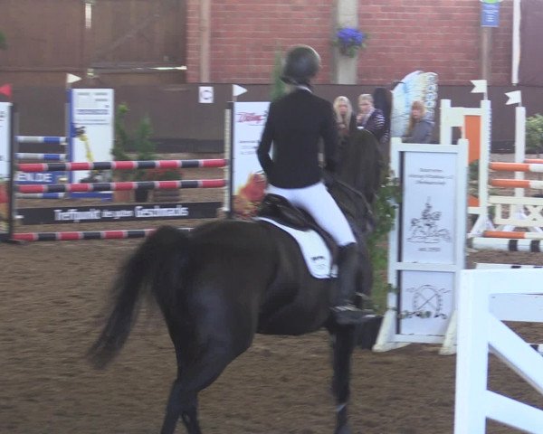 Reitturnier Hüllhorst 2015