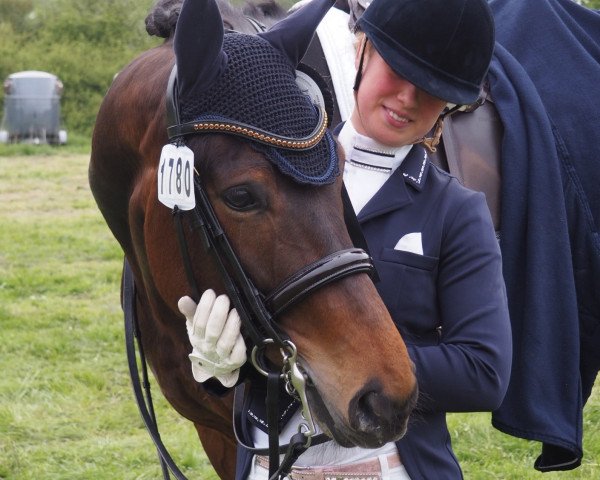 dressage horse Reus 2 (Westphalian, 2012, from Riccione)