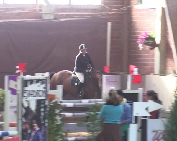 Reitturnier Hüllhorst 2015