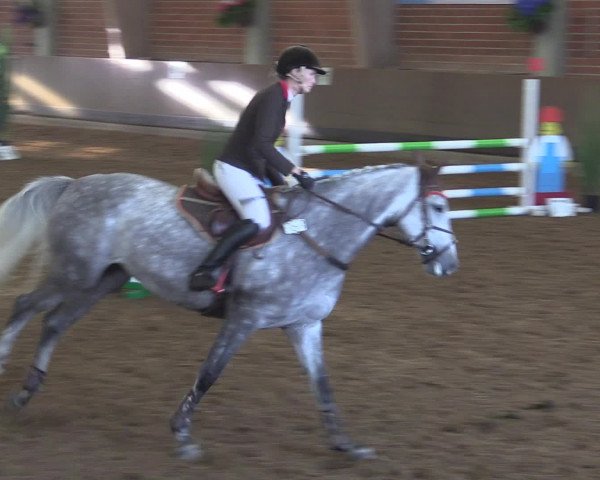 Reitturnier Hüllhorst 2015