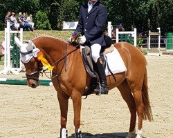 dressage horse Sunshine 432 (unknown, 2002)