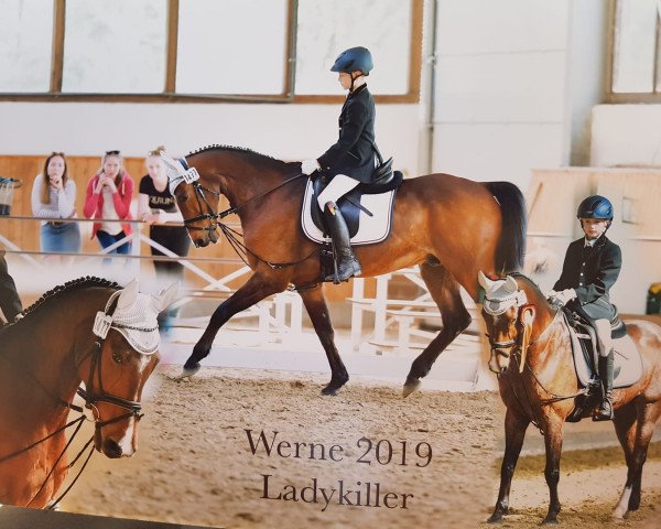 jumper Lady Killer Z (Westphalian, 2005, from Lacordos)