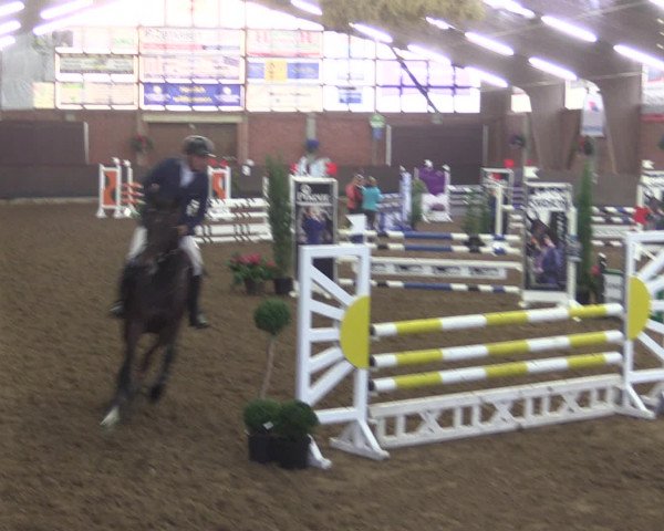 Reitturnier Hüllhorst 2015