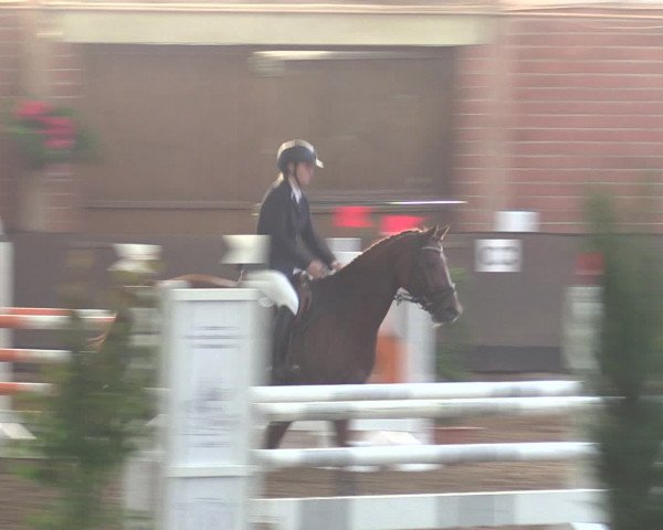 Reitturnier Hüllhorst 2015