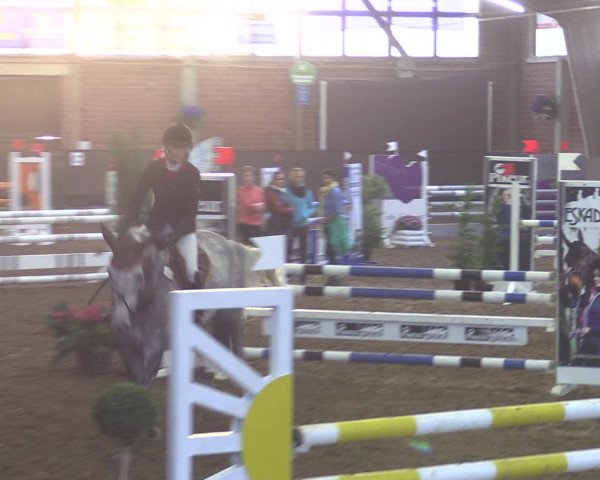 Reitturnier Hüllhorst 2015