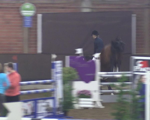 Reitturnier Hüllhorst 2015