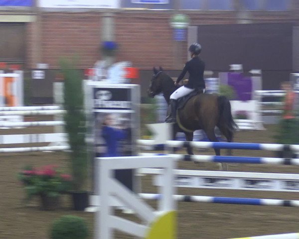 Reitturnier Hüllhorst 2015