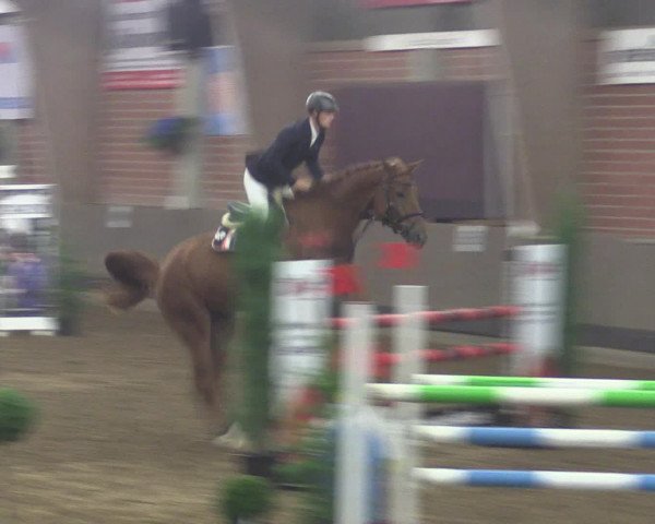 Reitturnier Hüllhorst 2015