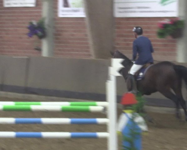 Reitturnier Hüllhorst 2015