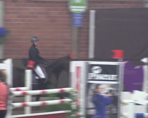 Reitturnier Hüllhorst 2015