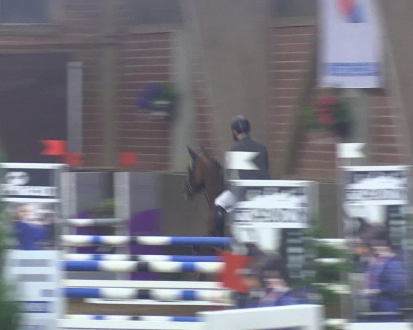 Reitturnier Hüllhorst 2015