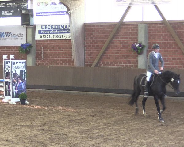 Reitturnier Hüllhorst 2015