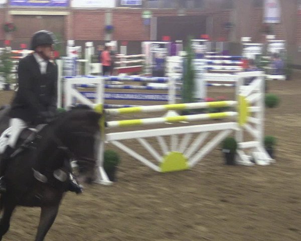 Reitturnier Hüllhorst 2015