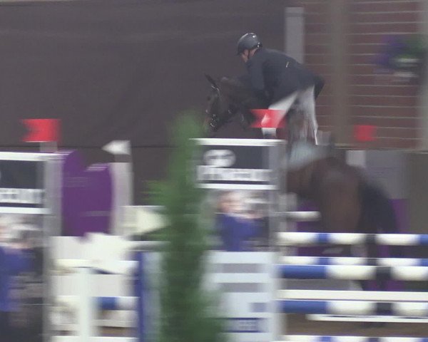 Reitturnier Hüllhorst 2015