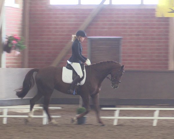 Reitturnier Hüllhorst 2015