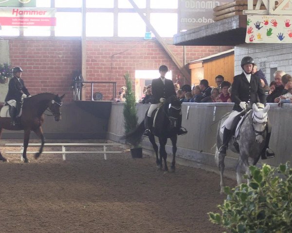 Reitturnier Hüllhorst 2015