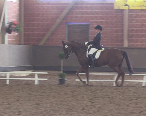 Reitturnier Hüllhorst 2015
