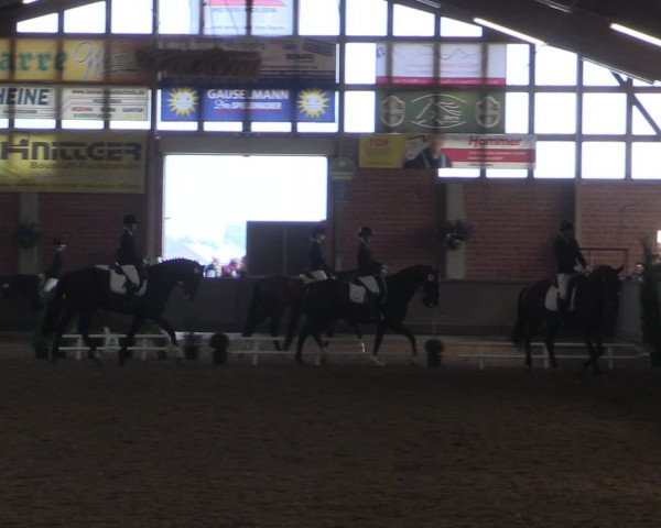 Reitturnier Hüllhorst 2015