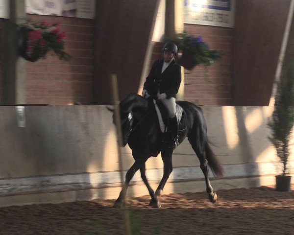 Reitturnier Hüllhorst 2015