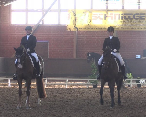 Reitturnier Hüllhorst 2015