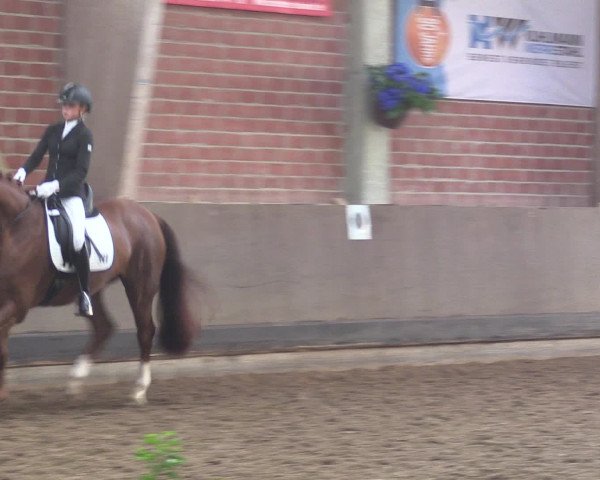 Reitturnier Hüllhorst 2015