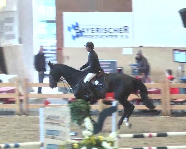 Reitturnier München-Riem 2015