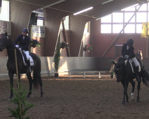 Reitturnier Hüllhorst 2015
