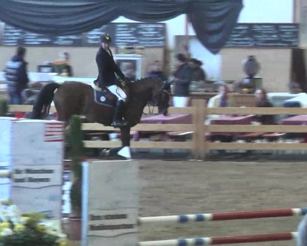 Reitturnier München-Riem 2015