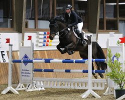 broodmare Avita S 3 (Westphalian, 2013, from Arpeggio)