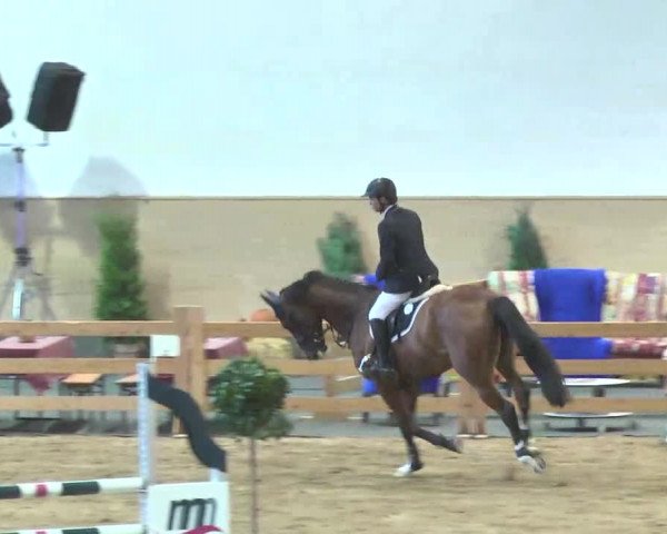 Reitturnier München-Riem 2015