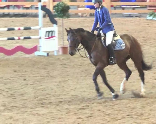 Reitturnier München-Riem 2015