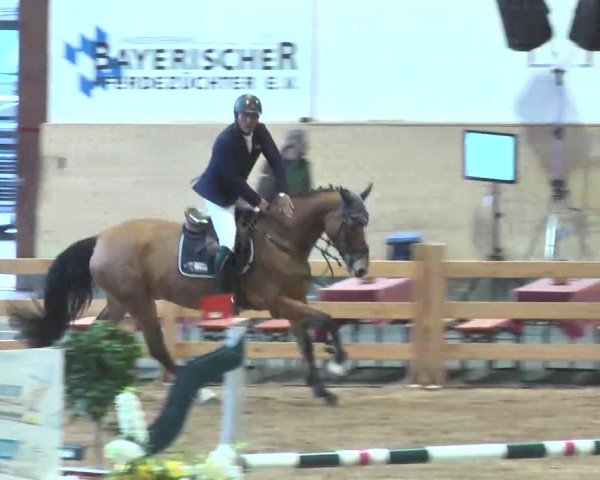 Reitturnier München-Riem 2015