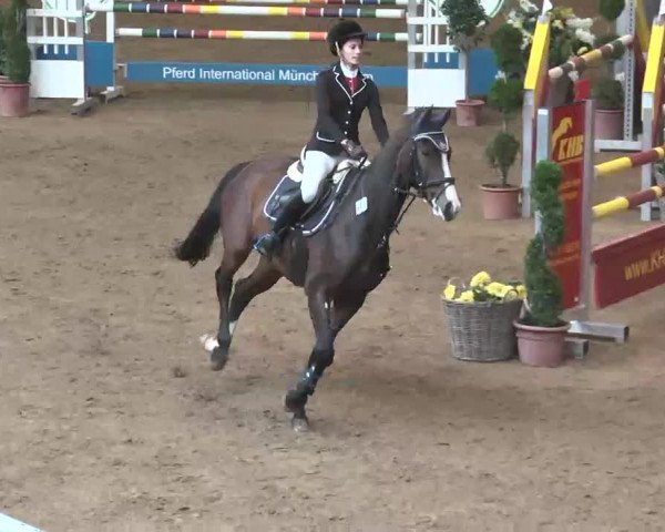 Reitturnier München-Riem 2015