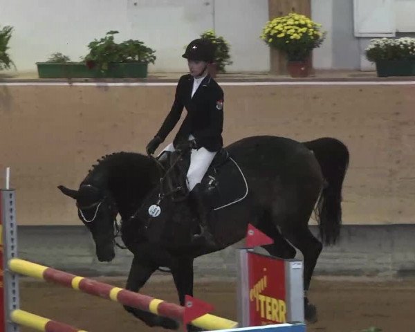 Reitturnier München-Riem 2015