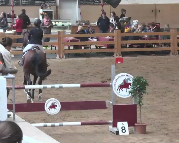 Reitturnier München-Riem 2015