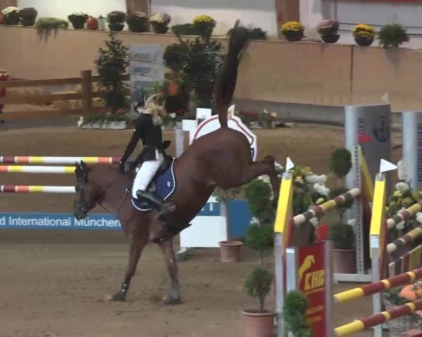 Reitturnier München-Riem 2015