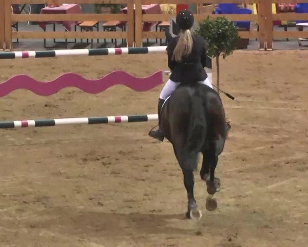 Reitturnier München-Riem 2015