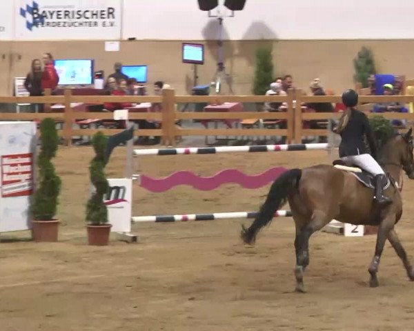 Reitturnier München-Riem 2015
