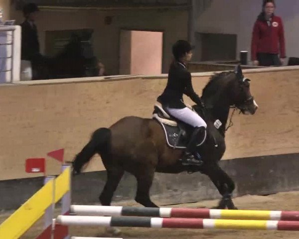 Reitturnier München-Riem 2015