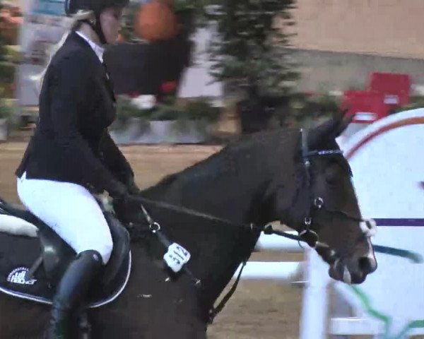Reitturnier München-Riem 2015