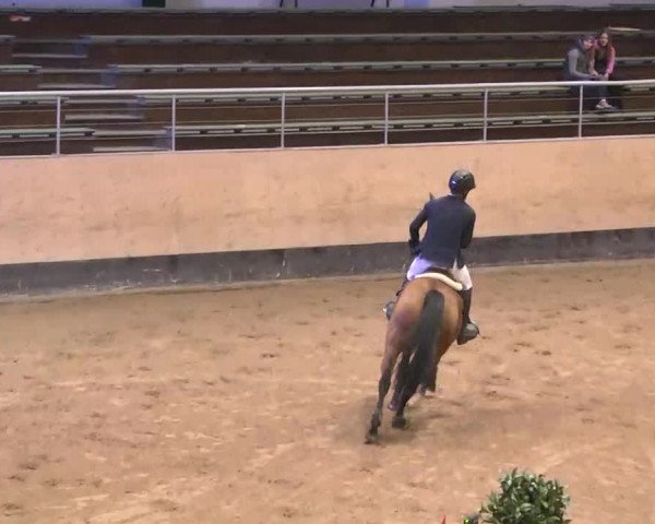 Reitturnier München-Riem 2015