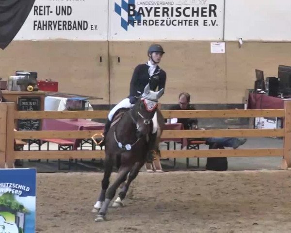 Reitturnier München-Riem 2015