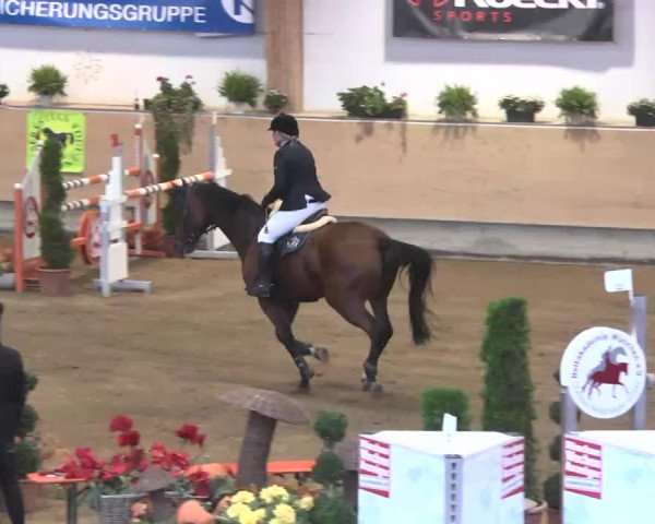 Reitturnier München-Riem 2015