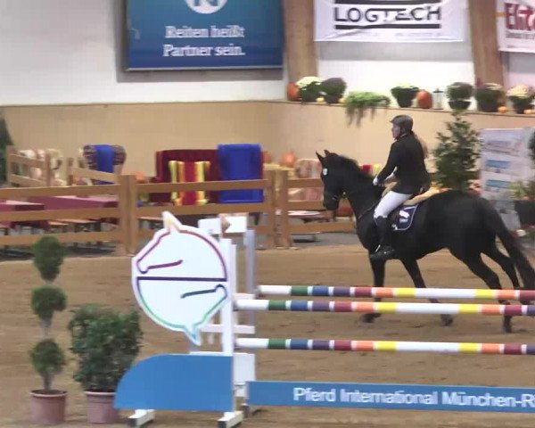 Reitturnier München-Riem 2015