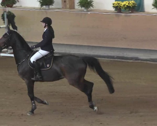 Reitturnier München-Riem 2015